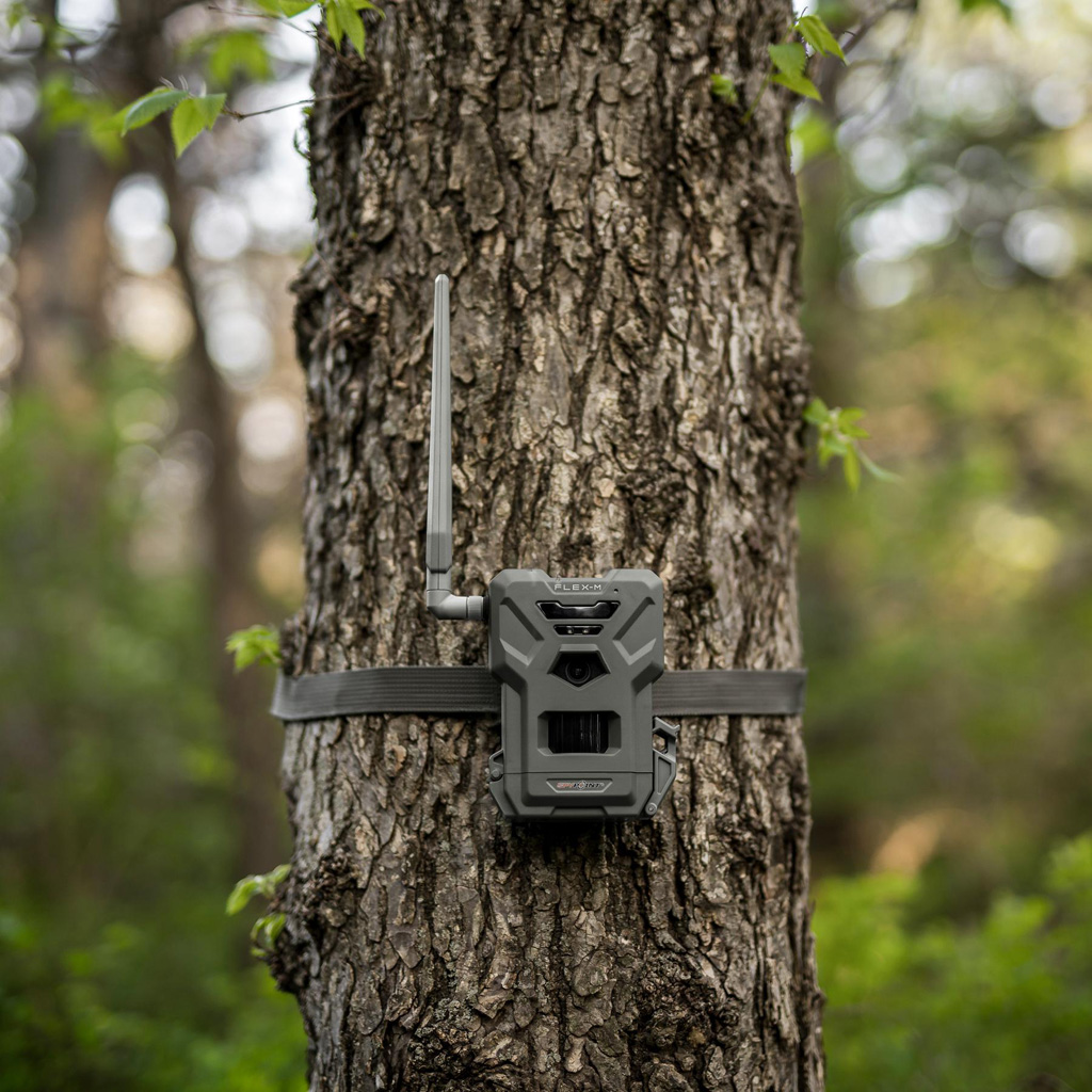 Spypoint Flex M2 Cellular Trail Camera - Image 3