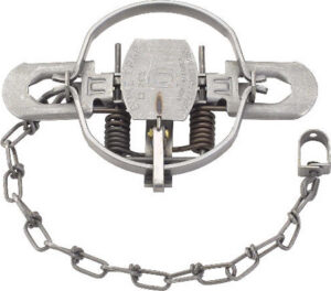 DUKE TRAP #2 CS 5.5" B-CAT, OTTER,