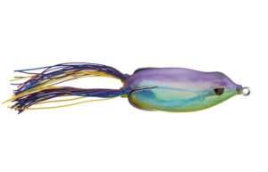 BRONZEYE FROG 65 KARMA